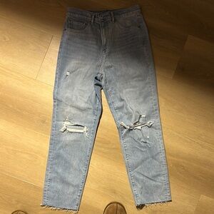 Express High Rise Mom Denim